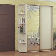 Дводверна шафа-купе Фенікс Стандарт 2100х450х2400
